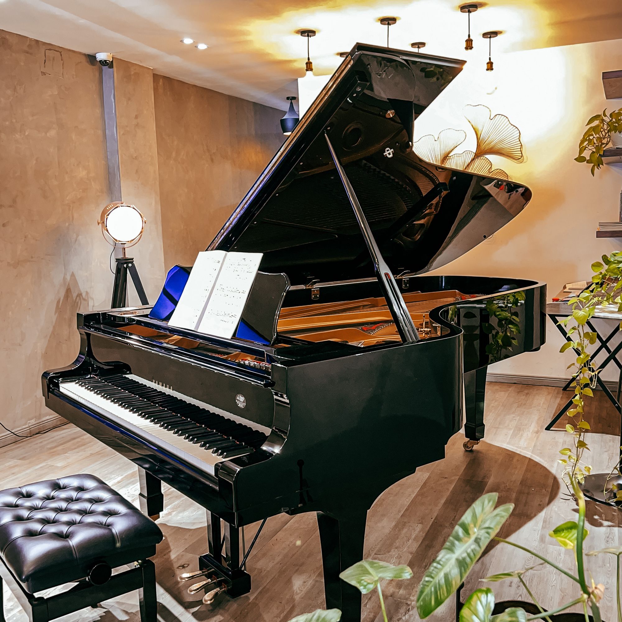 Largest Grand Piano in Cambodia – Yamaha CSII Grand Piano