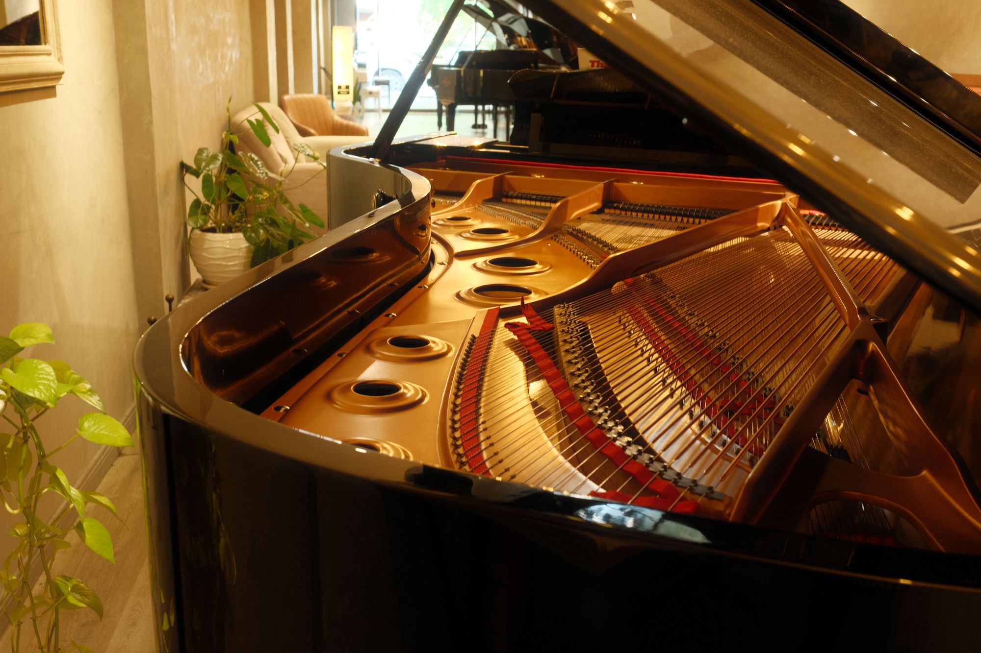Largest Grand Piano in Cambodia – Yamaha CSII Grand Piano