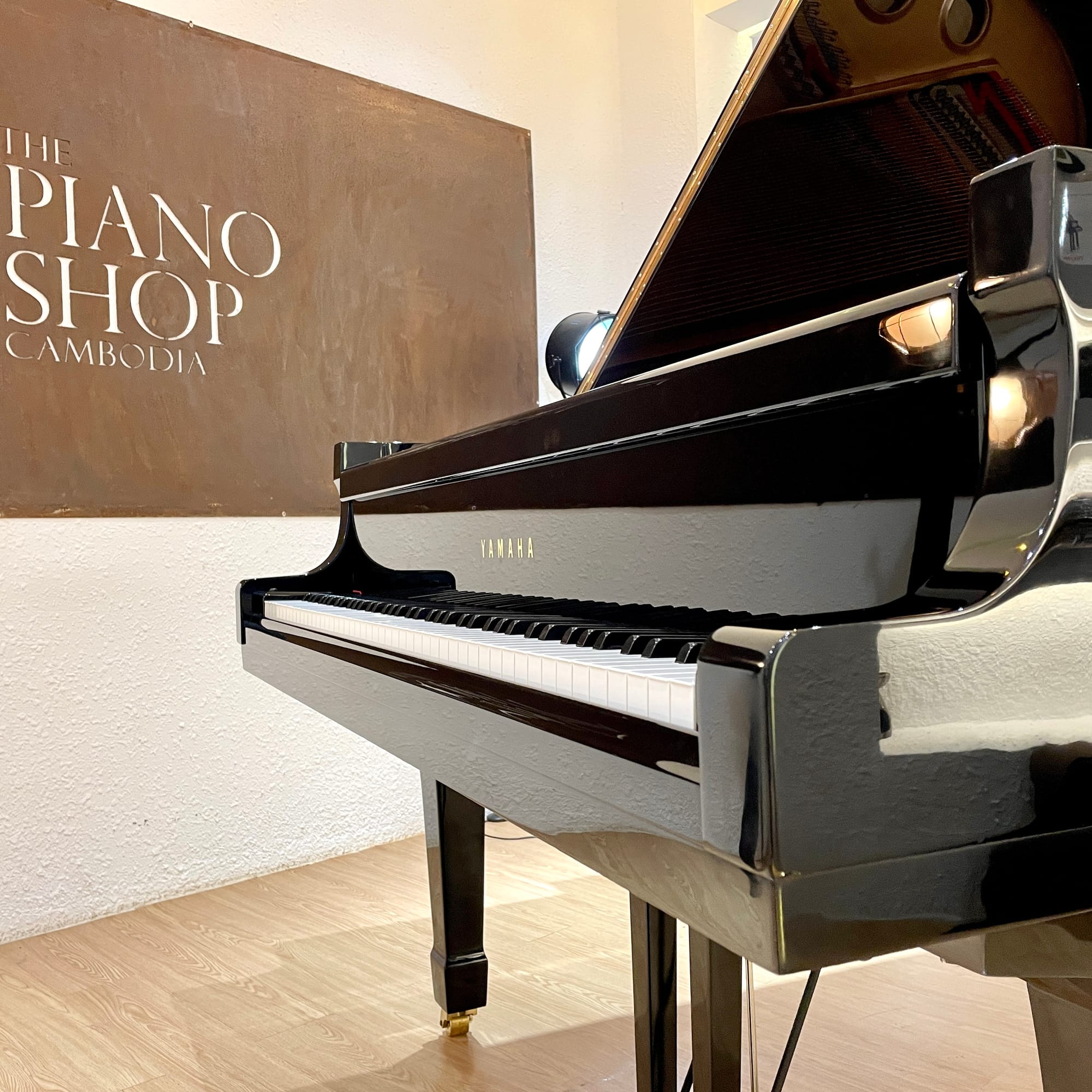 Understanding Acoustic Piano And Its Mechanics