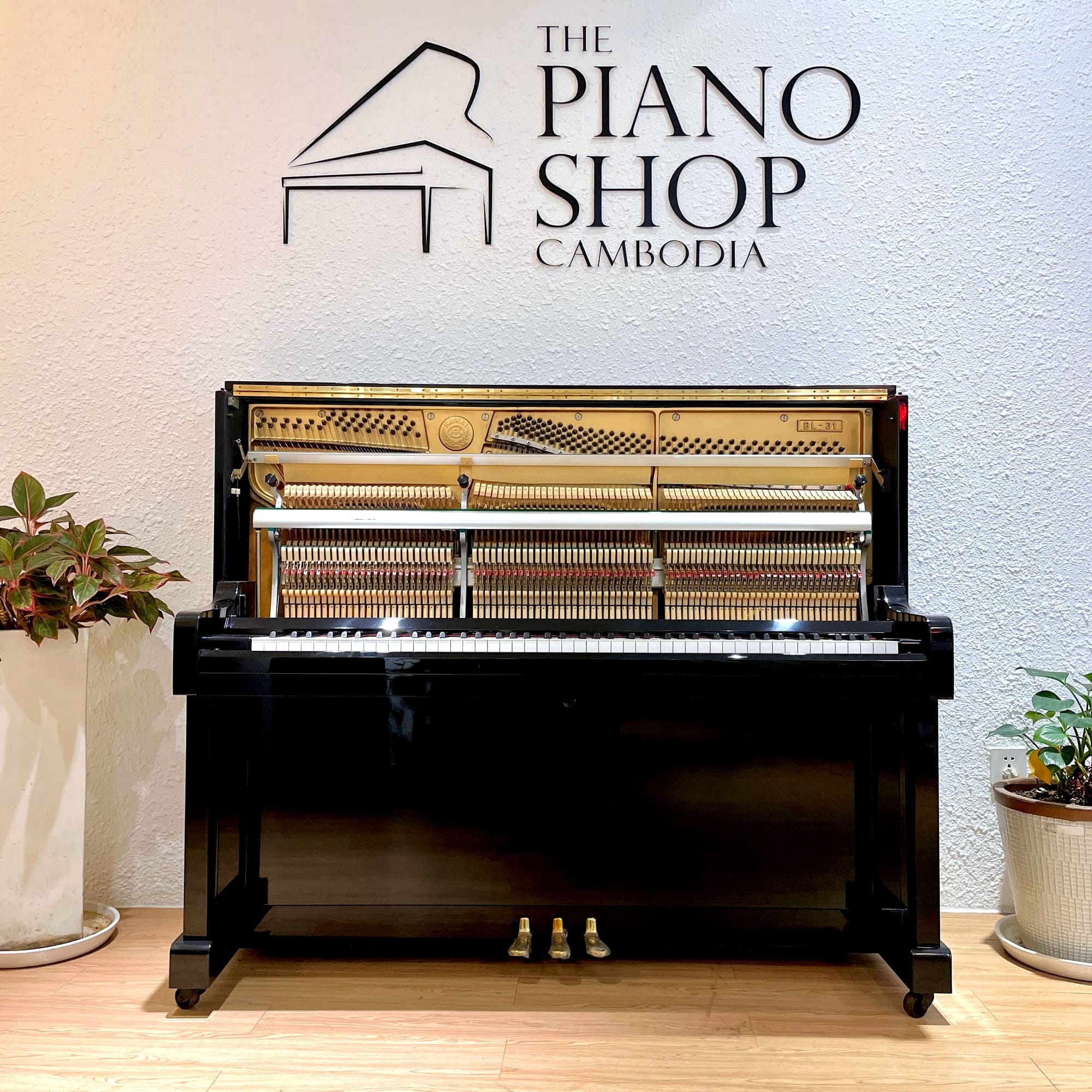 Understanding Acoustic Piano And Its Mechanics