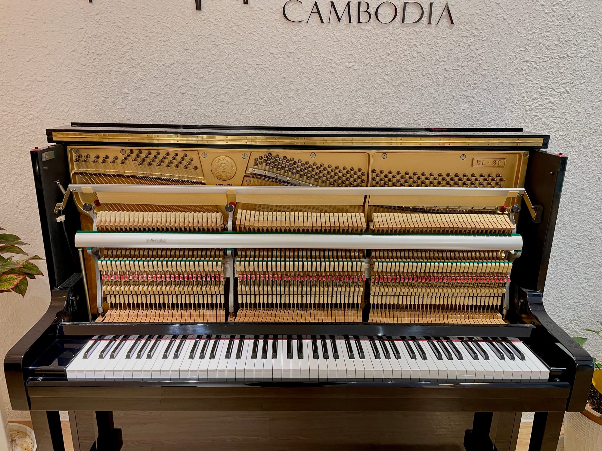 Understanding Acoustic Piano And Its Mechanics