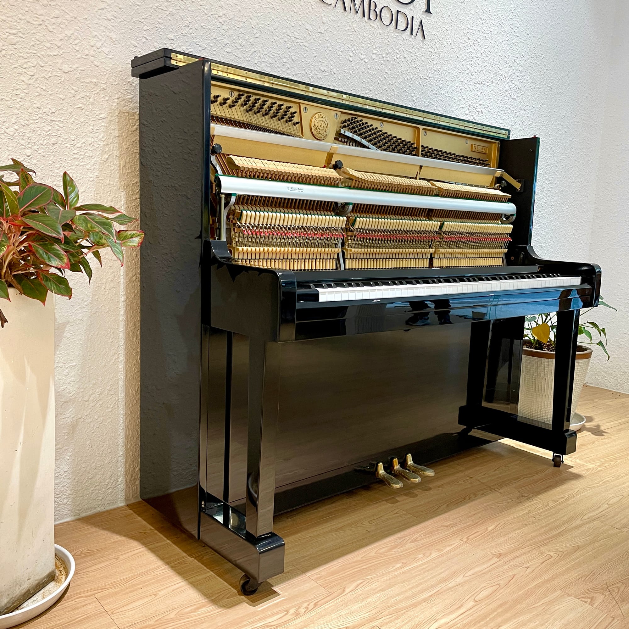 Understanding Acoustic Piano And Its Mechanics